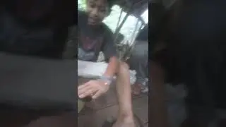 tongeat Sehati