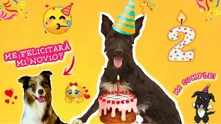 ¡MI FIESTA DE CUMPLEAÑOS! 🎉 Me felicitan mis amigos YOUTUBERS! Y muestro VUESTROS DIBUJOS! Lana