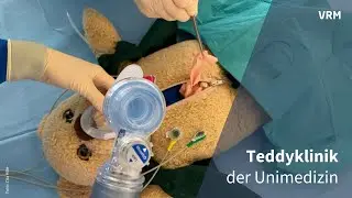 Flauschige Verletzte in der Mainzer Teddyklinik