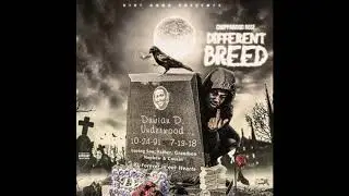 Choppawood Rose - No Bap (feat. Cp Dinero & K Sharl) &ldquo;Prod. By 1800it&rdquo;