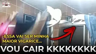 O GATO QUASE MORR VÉI KKKKKKK