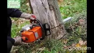 Stump Removal Melbourne | Stump Removal In Melbourne | Stump Removal Services in Melbourne