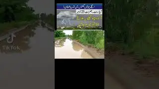 #weather #rain #maosam #flood #wethernews #capcut #news #update #baran