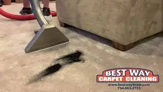Removing Paint From Carpet