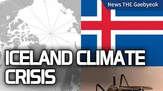 BREAKING: Mosquitoes Hit Iceland for First Time; Korea&rsquo;s Rice Revolution Saves Millions