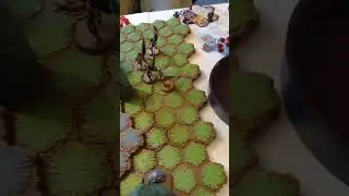 Swarm of the Marro and Aquillas Alliance begin. #gaming #heroscape #heroscapers #tabletop #dnd