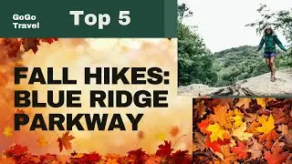 Top 5 Fall Hikes on the Blue Ridge Parkway. #hiking #travel #blueridgeparkway #fallleaves