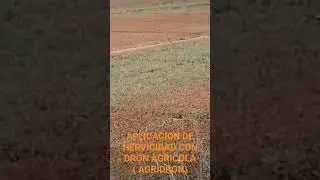 APLICACION DE HERVICIDA EN SORGO (AGRIDRON)