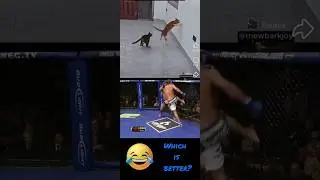 Showtime kick MMA VS CAT #mma #ufc #cat #funny