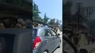 Dhalpur, Kullu, Himachal Pradesh 🏔️