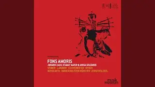 Stabat Mater in G Minor: X. Quando corpus morietur