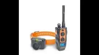 DOGTRA 2700 T&B Unboxing