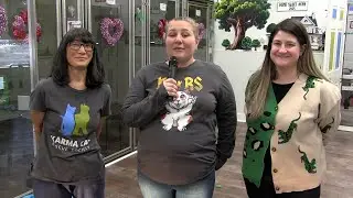 Kitty Corner: Upcoming Events, New Merch, and Adoptables