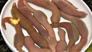 17 Terrifying Worms and Parasites