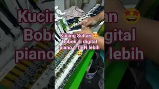 CDP-130 Digital Piano Service for a year. Idle, used for sleeping with cats, many keys have falle...