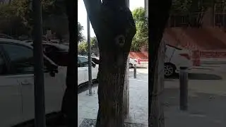 Proyecto Tec de Monterrey NOS CHINGAMOS TODOS...