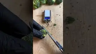 The best mini scale
