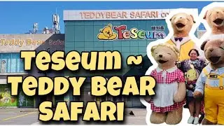 Teseum - Teddy Bear Safari Jeju Island