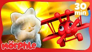 Emotional Day for Catmo 🐱💙 | Morphle | Cars, Trucks & Vehicles Cartoon | Moonbug Kids