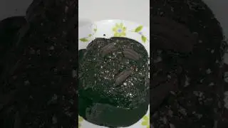 Instant chocolate cake ❤️❤️❤️❤️