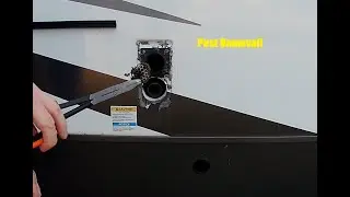 Camper Wasp Nest Removal