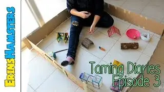Taming Diaries | Season 1 | Episode 3