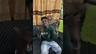 #trending @codemickytv #kwadwosheldon @OfficialSarkodie #viral #hit #shorts #rap #afticarap #weekend