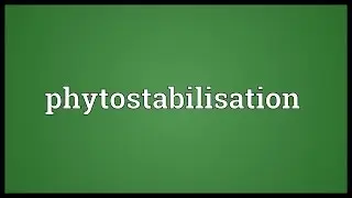 Phytostabilisation Meaning