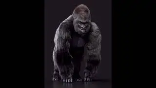 New Gorilla sculpt #gorilla #art #animation #digitalart #noai