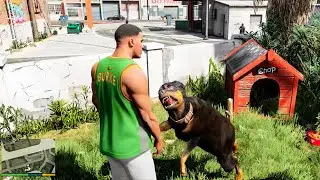 Chop bites the hand that feeds him and regrets it | GTA 5