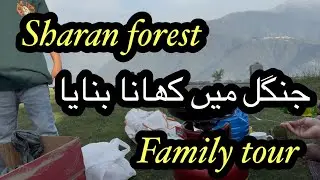 Sharan forest trip| Naran 2025 | Usama jeep me phas gya | jungle me khana bnaya | huts me rahe