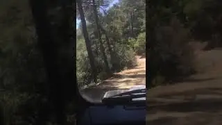 Troodos mountains safari with George Michael .. Driver / Guide.