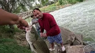 Fishing at Johnson lake dam inlet 24in 7lb wiper 