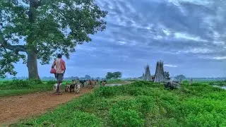 Sonbhadra: Tribal Groups Lose Livelihood&mdash;English Subtitles (Tribal Local Hindi Audio)