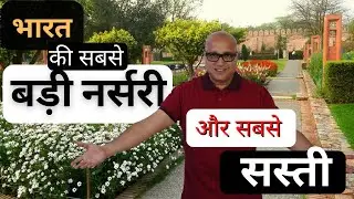 भारत की सबसे बड़ी और सबसे सस्ती नर्सरी | India's largest and cheapest nursery |