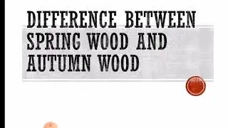 SPRING WOOD AND AUTUMN WOOD