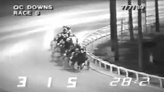 Eds Horses20250223 115151