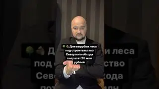 Для вырубки леса под строительство Северного обхода потратят 35 млн рублей #shorts #омск #omsk #jvcr