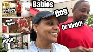 Meat Stock-up! $44 FreshFields Farm PLUS  A dog, A bird or A BABY 😱 | June 7, 2022