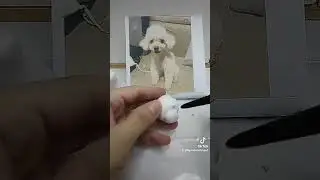 Custom Dog Bobblehead --Personalized Bobblehead From Photo- Unique Dog Gifts For Dog Lovers