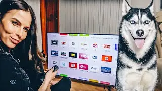 Собираюсь на Mi Fan Fest и кайфую от Mi TV 4S 43'
