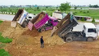 Dump Trucks Skills On All Project Always Working With Bulldozer Together Showing The Cool Action