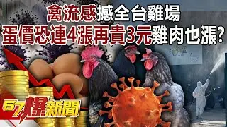 「禽流感」撼全台雞場&hellip;蛋價恐「連4漲」再貴3元？ 雞肉也漲？-羅旺哲 巫嘉芬 黃世聰 王映亮 徐俊相《57爆新聞》20260129-1