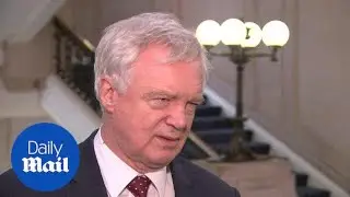 Davis: 'UK may join a temporary customs union with the EU' - Daily Mail
