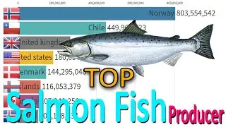 Top Largest Salmon Fish Producer Countries 1962 -2020