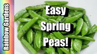 Simple Spring Peas with  Herbs Recipe, Harvest Peas and Herbs |  THE KITCHEN