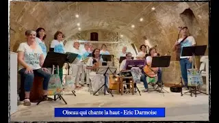 💨 Oiseau qui chante la haut (Eric Darmoise) 💨 cover par Lady Des Aires