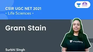 Gram Stain | CSIR NET 2021 | By Surbhi Singh #shorts