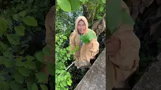 Musim hujan masih panjang. Bayar 1 dapa 2 🌦️ #ucupklaten #jashujan #musimhujan
