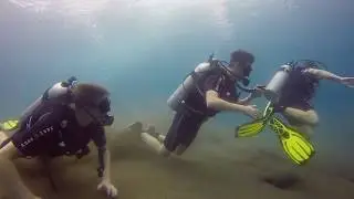 Underwater Belgium team Abyss dive center Amed Bali